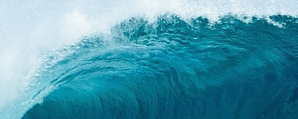 Men's Tops – World Surf League